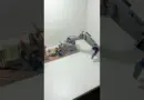 Diy Robotic Arm #robot #robotics
