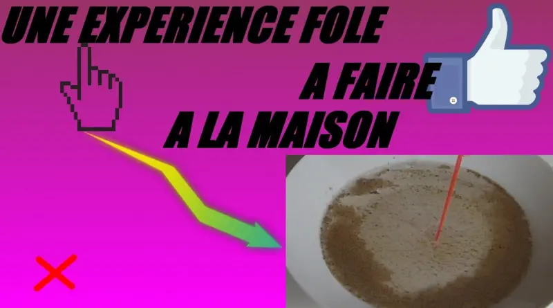 EXPERIENCE FOLLE A FAIRE A LA MAISON FACILEMENT EN PLUS!