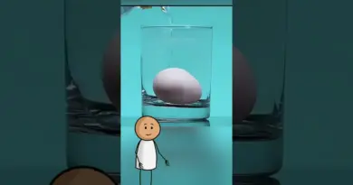 EXPÉRIENCES SCIENTIFIQUES INCROYABLES que vous voudrez vraiment refaire