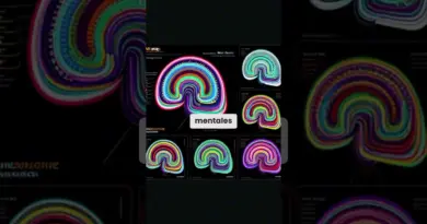Éclairages cérébraux : décryptage de l’activité neurale avec l’IRMf »