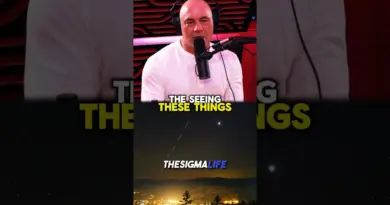 Elon Musk on Why You Can See Starlink Satellites