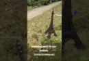 Entreprise française spécialisée en réalité augmentée (tour Eiffel)