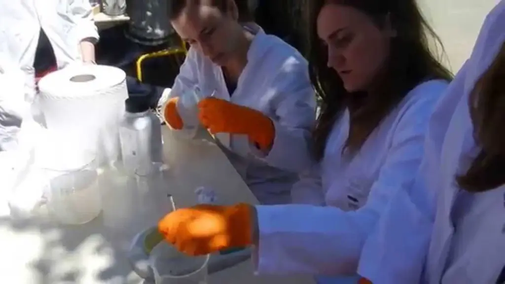 Expérience chimie : réaction oscillante