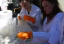 Expérience chimie : réaction oscillante
