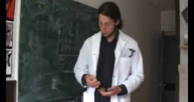 Expérience de Physique: La chute des fourmis (partie II)