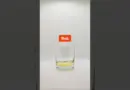 🌈Expérience de la pluie colorée