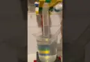 Expérience de physique par Victor – mesure du volume de gaz par déplacement d’eau