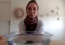 Expérience scientifique Maria Montessori : activité ludique pour les enfants en maternelle