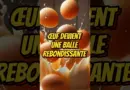 Expérience scientifique : l’œuf devient une balle rebondissante ! #ExpérienceScientifique