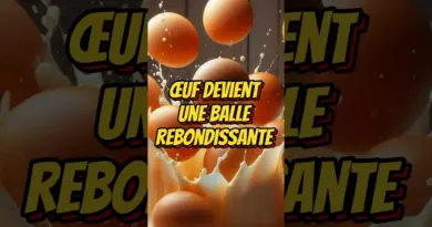 Expérience scientifique : l’œuf devient une balle rebondissante ! #ExpérienceScientifique