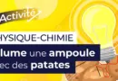 Expérience scientifique : produis de l’électricité avec des pommes de terre | Physique chimie