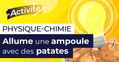 Expérience scientifique : produis de l’électricité avec des pommes de terre | Physique chimie