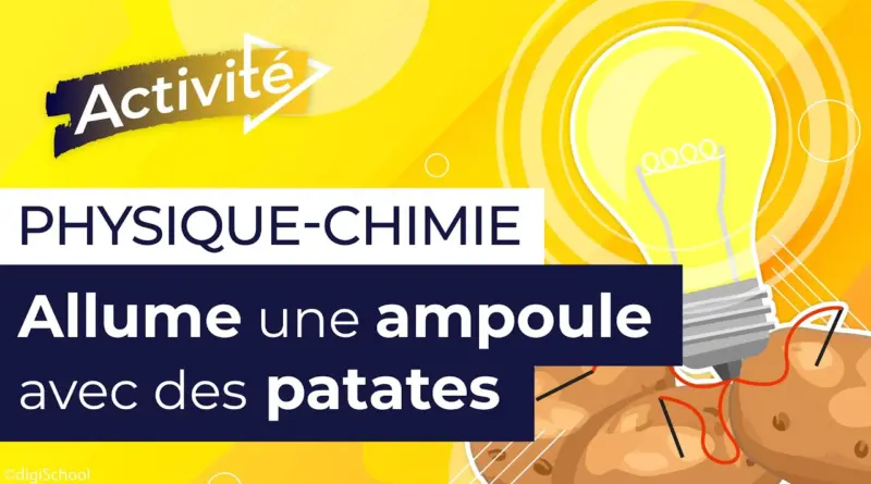 Expérience scientifique : produis de l’électricité avec des pommes de terre | Physique chimie
