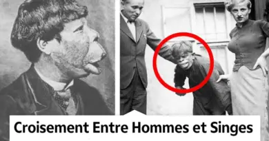 Expériences Scientifiques Sur Les Humains Les Plus Bizarres !