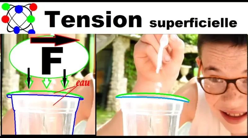 Expériences à faire à la maison # 6 : la tension superficielle de l’eau