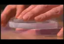 Expériences de supraconductivité