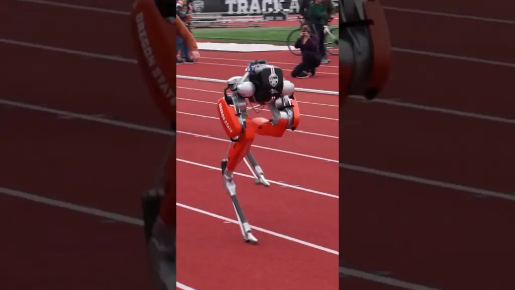 Fastest 100 meters by a bipedal robot – 24.73 seconds 🤖
