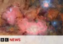 First images from powerful new telescope released | BBC News