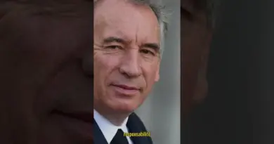 François Bayrou déclenche à nouveau le 49.3 et …