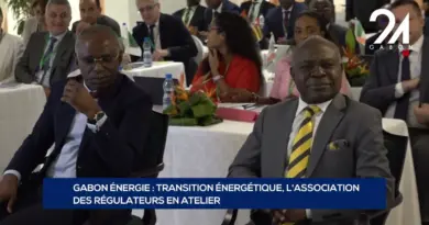 GABON ÉNERGIE : TRANSITION ÉNERGÉTIQUE, L’ASSOCIATION DES RÉGULATEURS EN ATELIER