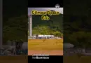 Gilmour Space | Eris