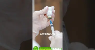 Histoire de la Médecine Du Mystère aux Miracles