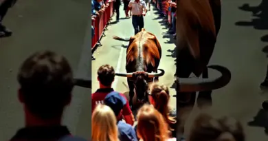 IA Arène | Scène IA Saisissante, Art Numérique 🎨🐂 Ép.5 #ia #djlightha
