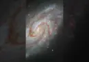 IC 1954  — Hubble Space Telescope #shorts