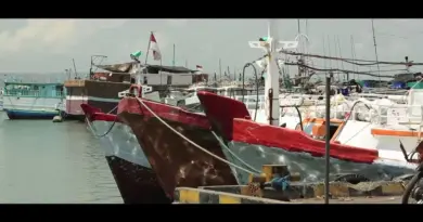 INDESO, la protection du poisson par satellite en Indonésie