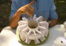 ITER Mythes et Réalités d’un projet nucléaire 1/5