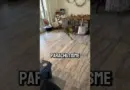 Il a pris ce jeu VR pour la réalité…