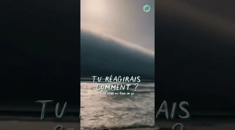 Il sème LA PANIQUE ! 😱 #popular #science #news #popular #viral
