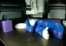 Impression 3D Multi couleurs Bambulab X1C
