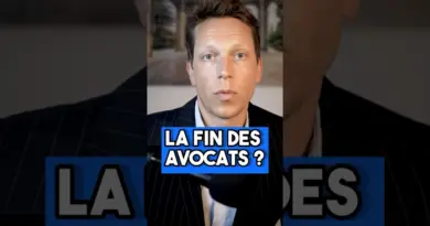 Intelligence artificielle : AMIE ou ENNEMIE des AVOCATS ? #ia#chatgpt#emploi
