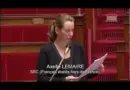 Intervention d’Axelle Lemaire sur les libertés numériques en séance – 24 janvier 2014