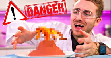 J’AI ESSAYÉ DE FAIRE DES EXPÉRIENCES SCIENTIFIQUES