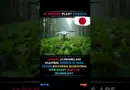 Japan’s Revolutionary AI Drones: Forest Restoration 10X Faster! #news #ai  #technology #shorts