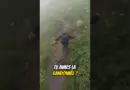 Je cherche la meilleure montre GPS #randonnée