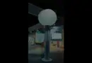 LG at CES 2025: Sustainability Tree | LG