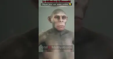 L’Histoire de l’Humanité #motivation #mindset #youtubeshorts #histoirecourte