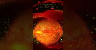 🌌 L’Univers: Hasard ou Design ? Décryptage du Réglage Fin Cosmique 🔭 #shorts