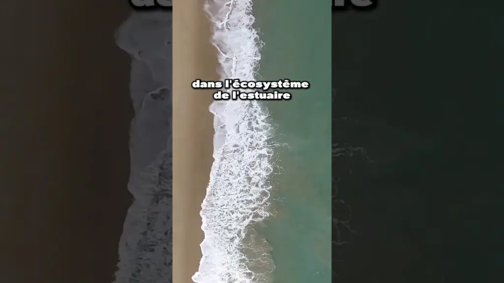 La Charente-Maritime comme vous ne l’avez jamais vue : la réserve de Moëze-Oléron par SWOT 🛰️🇫🇷
