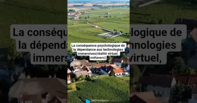 La conséquence psychologique de la dépendance aux technologies immersives(réalité virtuel, métavers)