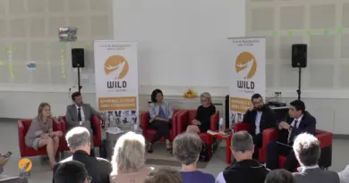 La culture numérique pour tous | Wild Talk