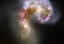 La théorie de la gravité de Newton : un effet de simulation informatique ?