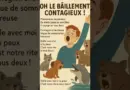 Le Grand O Contagieux #BaillementContagieux #ScienceAmusante #MusiquePourDormir #PopJazz #Chanson