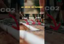 Le béton du future ? béton absorbeur de CO2
