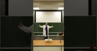Le concept de l’oeuf