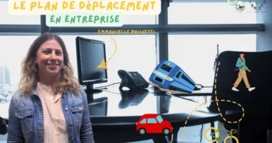 Le plan de déplacement d’entreprise: clé d’une mobilité durable et avantageuse pour tous(E.Brunetti)