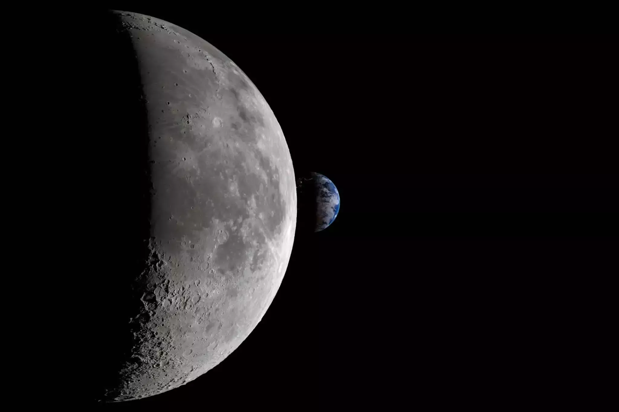 Le saviez-vous ? Les humains ne furent pas la première espèce à voyager autour de la Lune